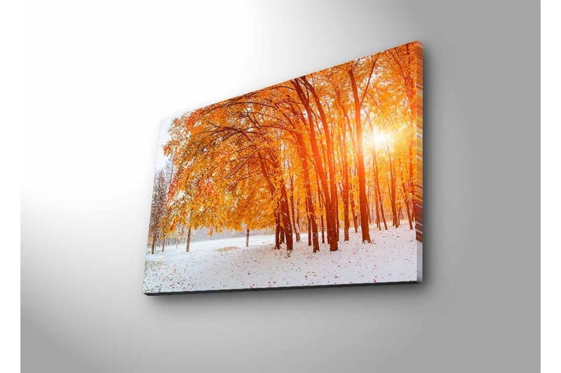 Veggdekorasjon LED-belysning Canvas Bilde - Innredning - Bilder & kunst - Lerretsbilder