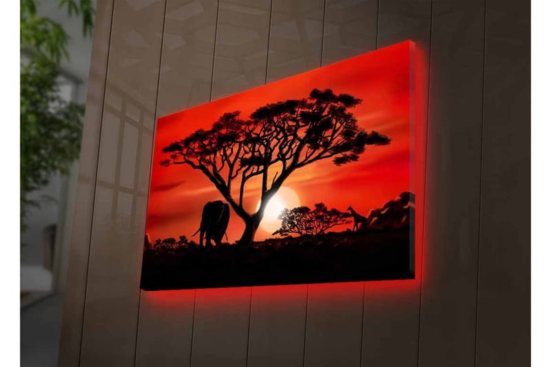 Veggdekorasjon LED-belysning Canvas Bilde - Innredning - Bilder & kunst - Lerretsbilder