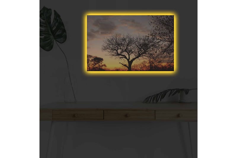 Veggdekorasjon LED-belysning Canvas Bilde - Innredning - Bilder & kunst - Lerretsbilder