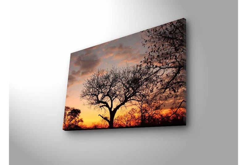 Veggdekorasjon LED-belysning Canvas Bilde - Innredning - Bilder & kunst - Lerretsbilder