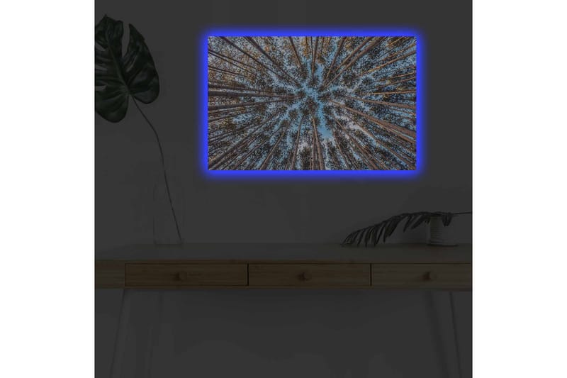 Veggdekorasjon LED-belysning Canvas Bilde - Innredning - Bilder & kunst - Lerretsbilder