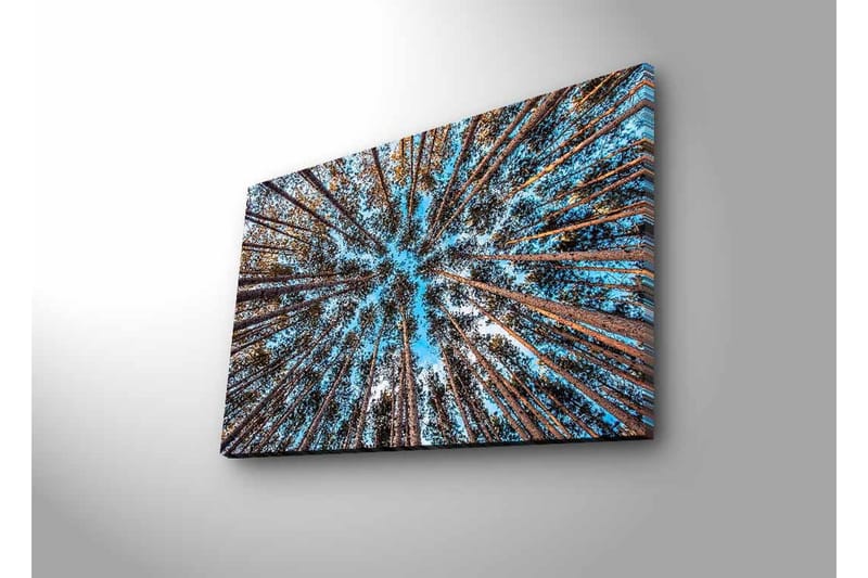 Veggdekorasjon LED-belysning Canvas Bilde - Innredning - Bilder & kunst - Lerretsbilder