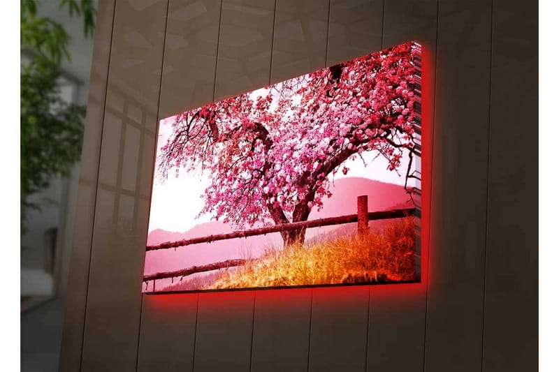 Veggdekorasjon LED-belysning Canvas Bilde - Innredning - Bilder & kunst - Lerretsbilder