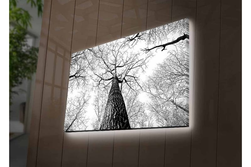 Veggdekorasjon LED-belysning Canvas Bilde - Innredning - Bilder & kunst - Lerretsbilder