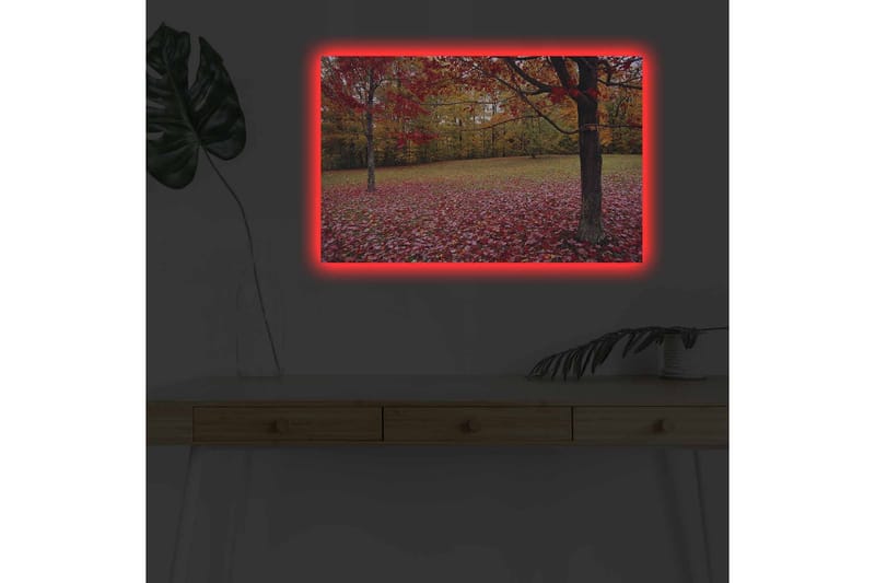 Veggdekorasjon LED-belysning Canvas Bilde - Innredning - Bilder & kunst - Lerretsbilder