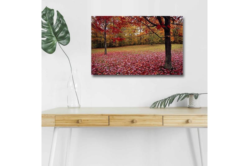 Veggdekorasjon LED-belysning Canvas Bilde - Innredning - Bilder & kunst - Lerretsbilder