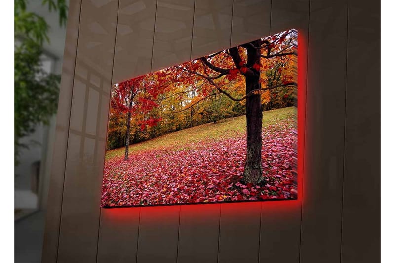 Veggdekorasjon LED-belysning Canvas Bilde - Innredning - Bilder & kunst - Lerretsbilder