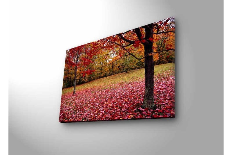 Veggdekorasjon LED-belysning Canvas Bilde - Innredning - Bilder & kunst - Lerretsbilder