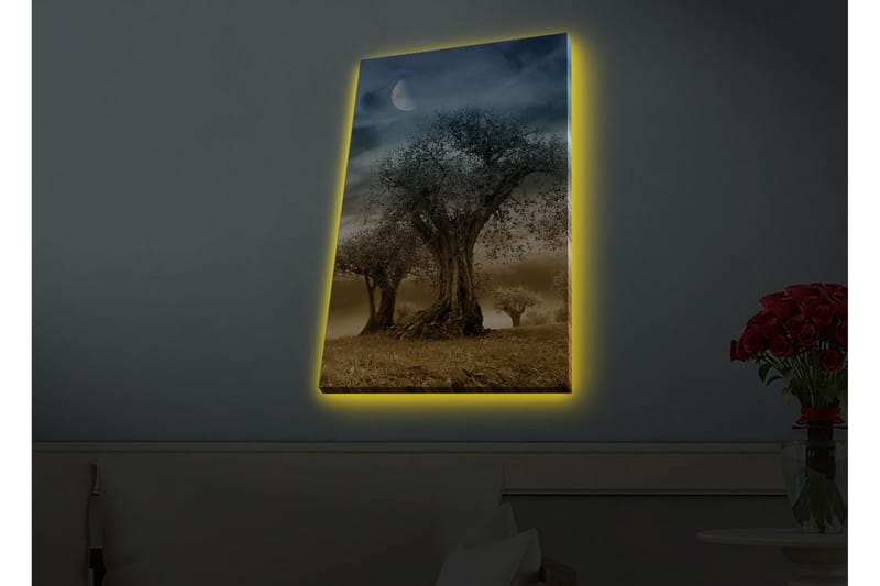 Veggdekorasjon LED-belysning Canvas Bilde - Innredning - Bilder & kunst - Lerretsbilder