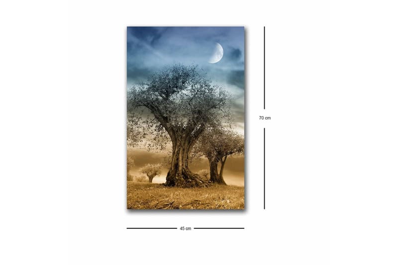 Veggdekorasjon LED-belysning Canvas Bilde - Innredning - Bilder & kunst - Lerretsbilder