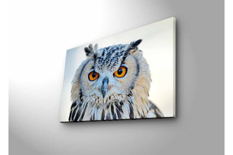 Veggdekorasjon LED-belysning Canvas Bilde - Innredning - Bilder & kunst - Lerretsbilder