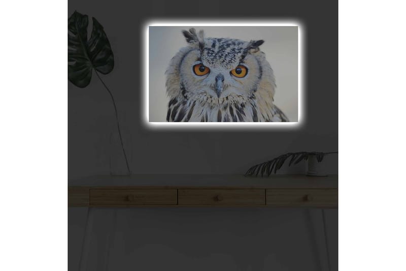 Veggdekorasjon LED-belysning Canvas Bilde - Innredning - Bilder & kunst - Lerretsbilder