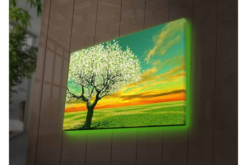 Veggdekorasjon LED-belysning Canvas Bilde - Innredning - Bilder & kunst - Lerretsbilder