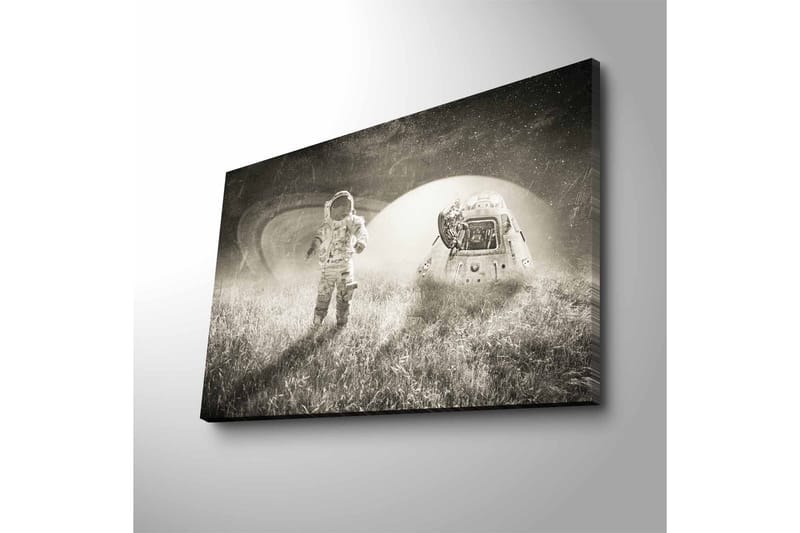 Veggdekorasjon LED-belysning Canvas Bilde - Innredning - Bilder & kunst - Lerretsbilder