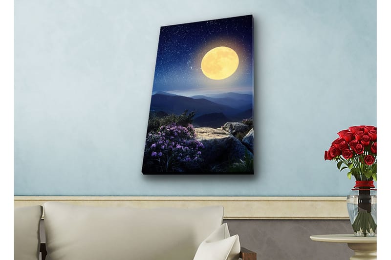 Veggdekorasjon LED-belysning Canvas Bilde - Innredning - Bilder & kunst - Lerretsbilder