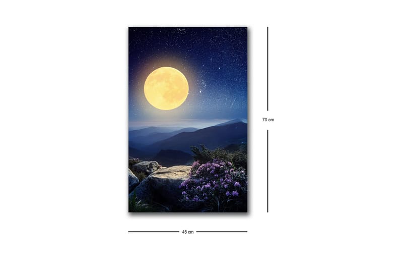 Veggdekorasjon LED-belysning Canvas Bilde - Innredning - Bilder & kunst - Lerretsbilder