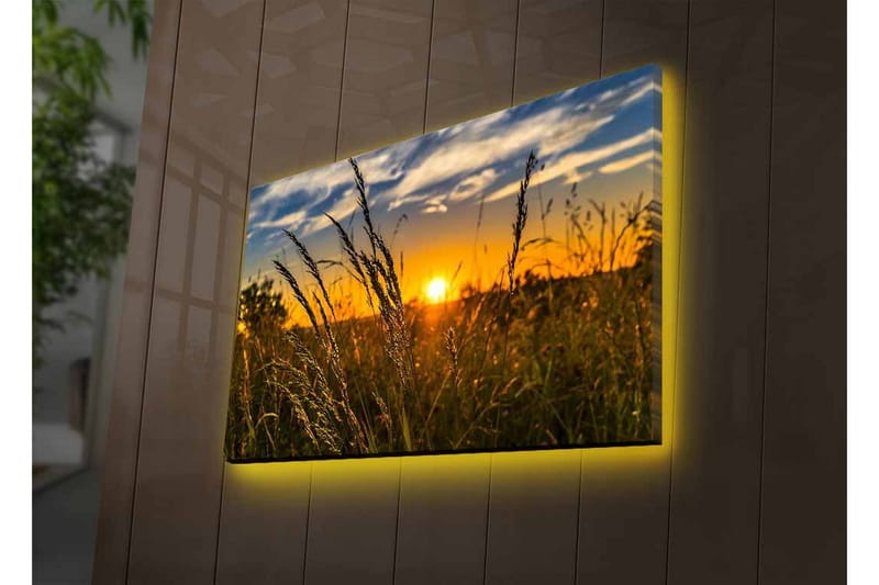 Veggdekorasjon LED-belysning Canvas Bilde - Innredning - Bilder & kunst - Lerretsbilder