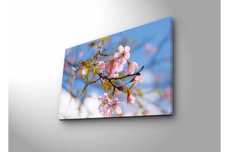 Veggdekorasjon LED-belysning Canvas Bilde - Innredning - Bilder & kunst - Lerretsbilder