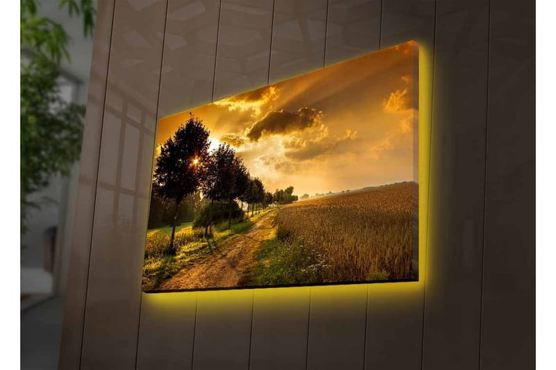 Veggdekorasjon LED-belysning Canvas Bilde - Innredning - Bilder & kunst - Lerretsbilder