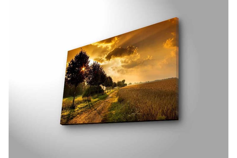 Veggdekorasjon LED-belysning Canvas Bilde - Innredning - Bilder & kunst - Lerretsbilder