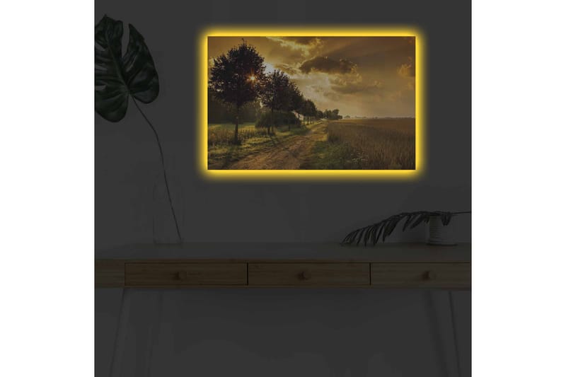 Veggdekorasjon LED-belysning Canvas Bilde - Innredning - Bilder & kunst - Lerretsbilder