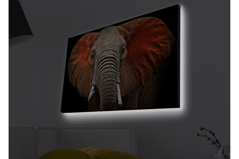 Veggdekorasjon LED-belysning Canvas Bilde - Innredning - Bilder & kunst - Lerretsbilder