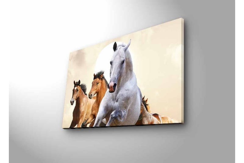 Veggdekorasjon LED-belysning Canvas Bilde - Innredning - Bilder & kunst - Lerretsbilder