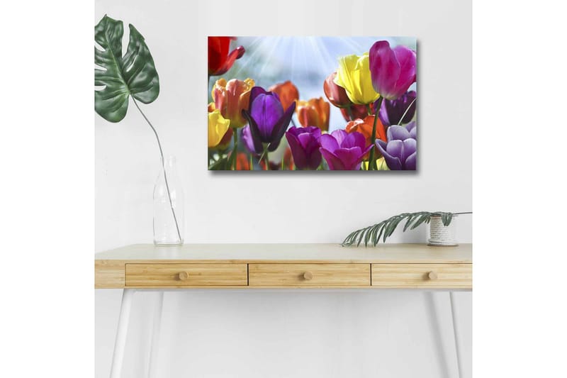 Veggdekorasjon LED-belysning Canvas Bilde - Innredning - Bilder & kunst - Lerretsbilder