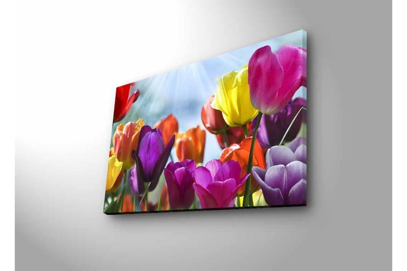 Veggdekorasjon LED-belysning Canvas Bilde - Innredning - Bilder & kunst - Lerretsbilder