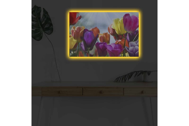 Veggdekorasjon LED-belysning Canvas Bilde - Innredning - Bilder & kunst - Lerretsbilder