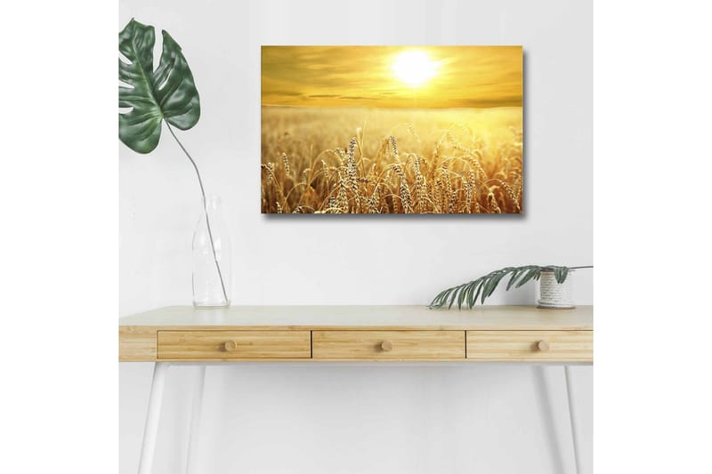 Veggdekorasjon LED-belysning Canvas Bilde - Innredning - Bilder & kunst - Lerretsbilder