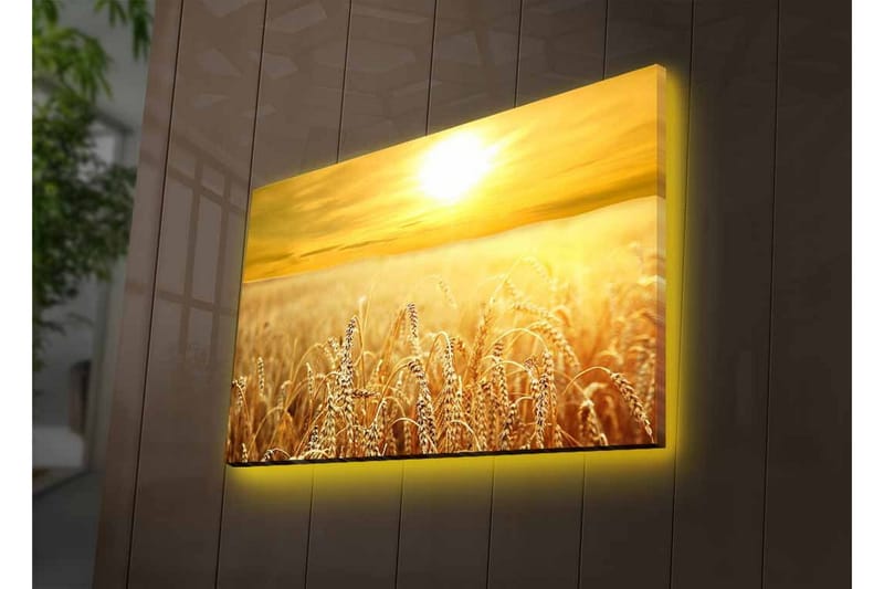 Veggdekorasjon LED-belysning Canvas Bilde - Innredning - Bilder & kunst - Lerretsbilder