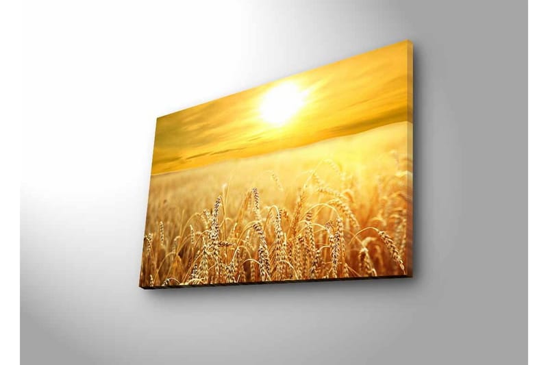 Veggdekorasjon LED-belysning Canvas Bilde - Innredning - Bilder & kunst - Lerretsbilder