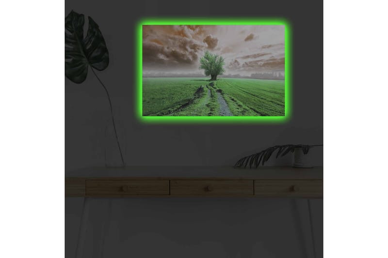 Veggdekorasjon LED-belysning Canvas Bilde - Innredning - Bilder & kunst - Lerretsbilder