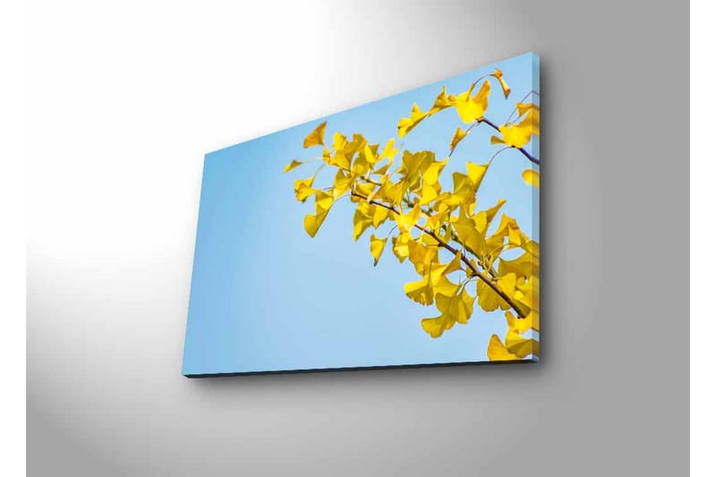 Veggdekorasjon LED-belysning Canvas Bilde - Innredning - Bilder & kunst - Lerretsbilder