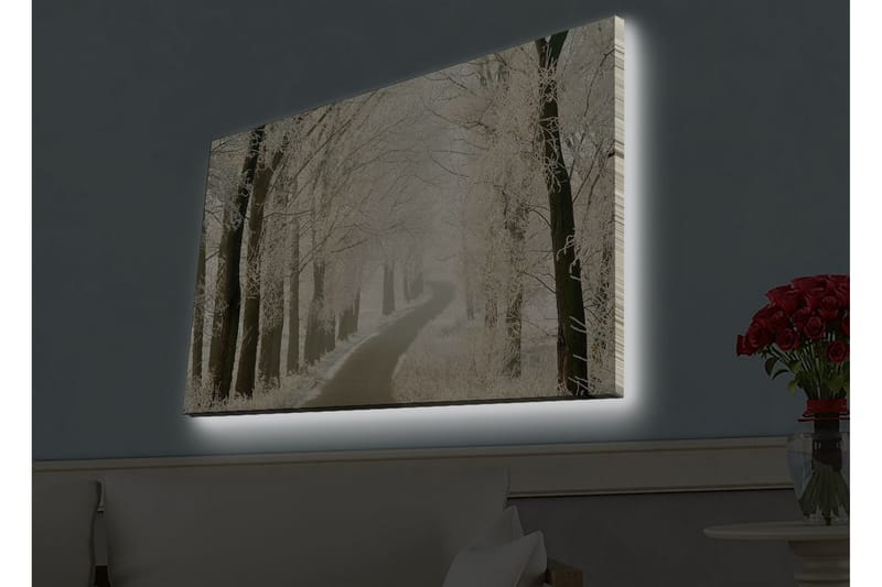 Veggdekorasjon LED-belysning Canvas Bilde - Innredning - Bilder & kunst - Lerretsbilder