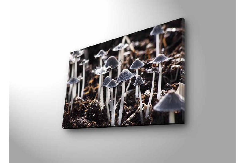 Veggdekorasjon LED-belysning Canvas Bilde - Innredning - Bilder & kunst - Lerretsbilder