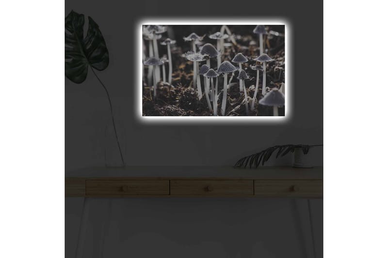 Veggdekorasjon LED-belysning Canvas Bilde - Innredning - Bilder & kunst - Lerretsbilder