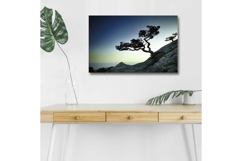 Veggdekorasjon LED-belysning Canvas Bilde - Innredning - Bilder & kunst - Lerretsbilder