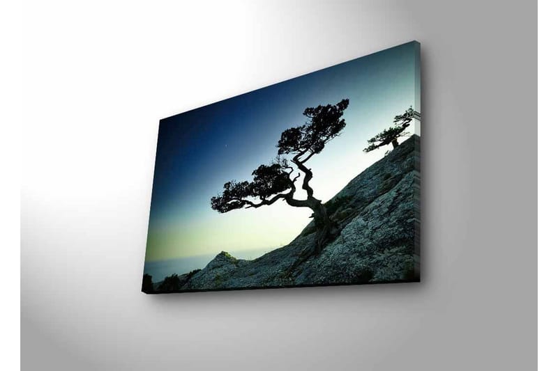 Veggdekorasjon LED-belysning Canvas Bilde - Innredning - Bilder & kunst - Lerretsbilder