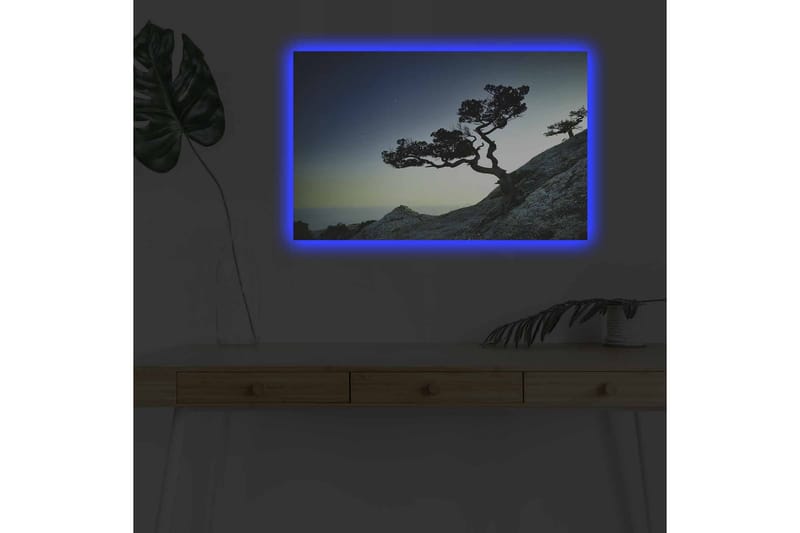 Veggdekorasjon LED-belysning Canvas Bilde - Innredning - Bilder & kunst - Lerretsbilder