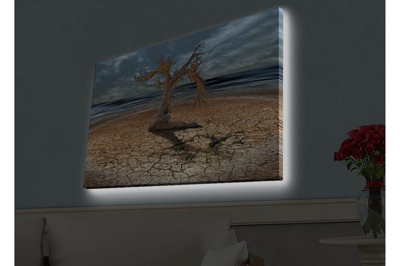 Veggdekorasjon LED-belysning Canvas Bilde - Innredning - Bilder & kunst - Lerretsbilder