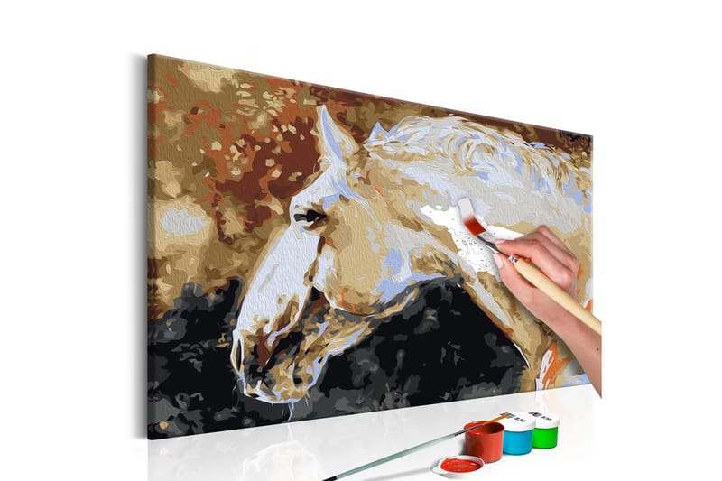 Gjør-det-selv-maleri White Horse 60x40 cm - Artgeist sp. z o. o. - Innredning - Bilder & kunst - Male selv