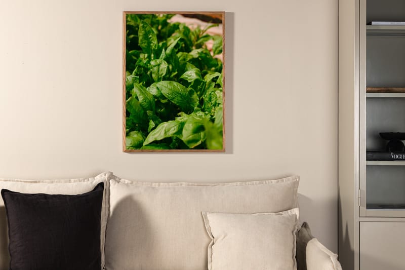 Plakat Green Leaf 50x70 cm - Grøn - Innredning - Bilder & kunst - Posters