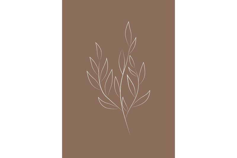 Poster Drawed leaf 50x70 cm - Brun - Innredning - Bilder & kunst - Posters