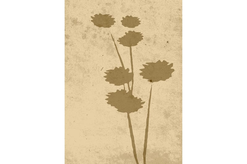 Poster Flower art 50x70 cm - Beige - Innredning - Bilder & kunst - Posters