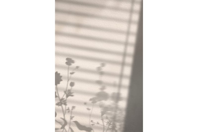 Poster Flower Shadow 50x70 cm - Hvid - Innredning - Bilder & kunst - Posters