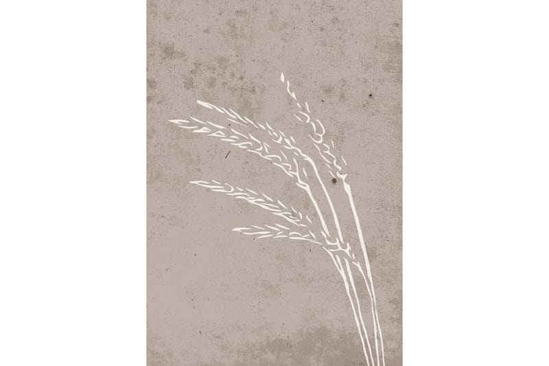 Poster Seeds 21x30 cm - Beige - Innredning - Bilder & kunst - Posters