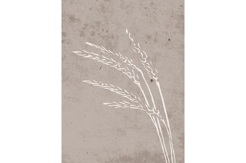 Poster Seeds 30x40 cm - Beige - Innredning - Bilder & kunst - Posters