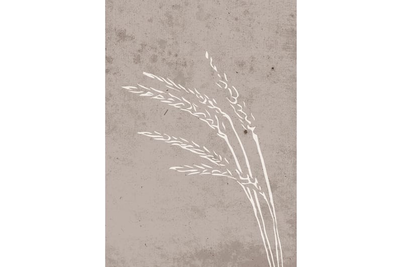 Poster Seeds 50x70 cm - Beige - Innredning - Bilder & kunst - Posters